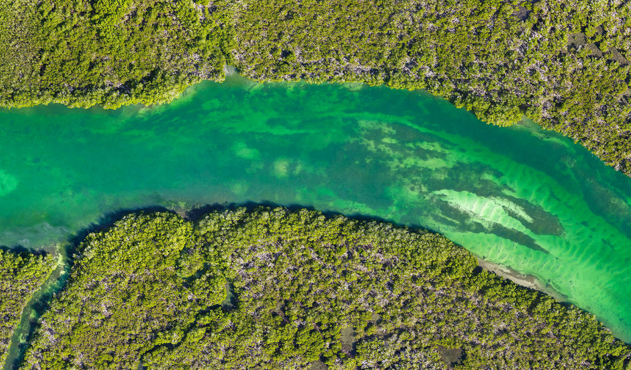 Caño La Avena - Jonathan Delance